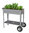 bellavista - Home & Garden® Hochbeet mit Rädern 85x50x80 cm